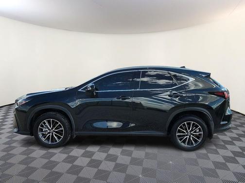 2024 Lexus NX 250 Premium