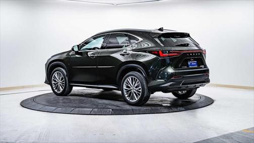 2025 Lexus NX 350 Luxury