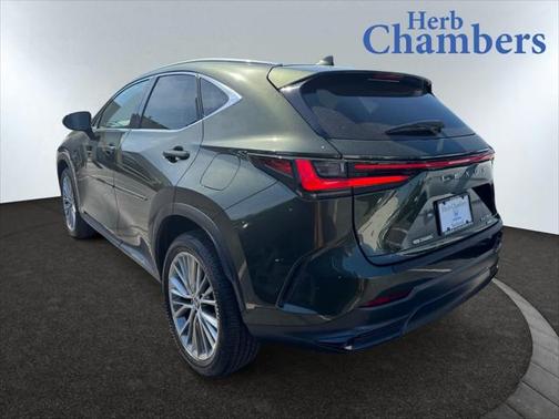 2025 Lexus NX 350 Luxury