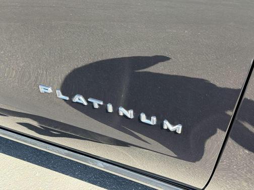 Black 2025 Ford Expedition Platinum