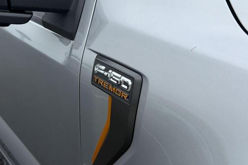 Iconic Silver Metallic 2026 Ford F-150 Tremor