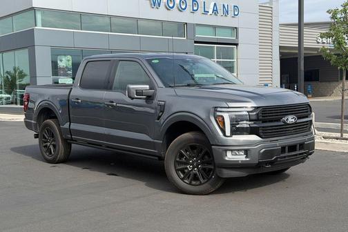 Gray 2026 Ford F-150 Platinum