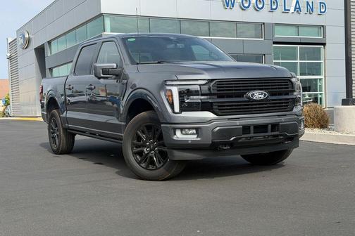 Gray 2026 Ford F-150 Platinum