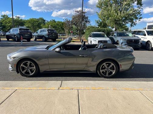 Gray Metallic 2025 Ford Mustang EcoBoost Premium