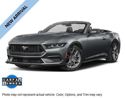 Gray Metallic 2025 Ford Mustang EcoBoost Premium