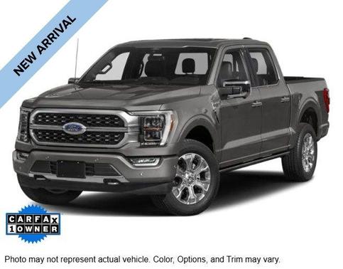 Gray Metallic 2023 Ford F-150 Platinum