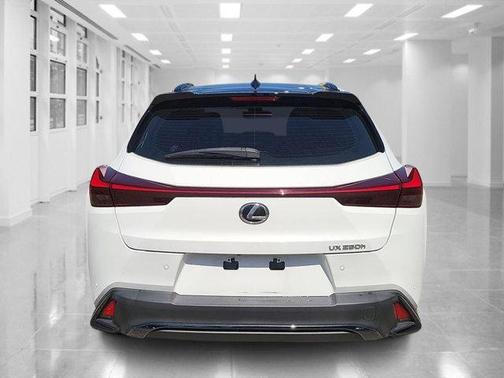 2024 Lexus UX 250h F Sport