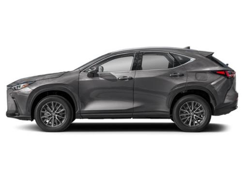 Cloudburst Gray 2025 Lexus NX 250 Base