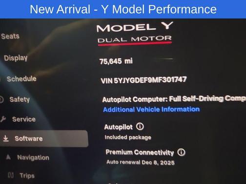 2021 Tesla Model Y Performance