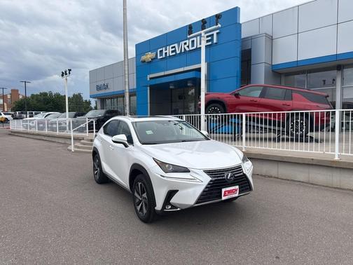 2021 Lexus NX 300h 300H