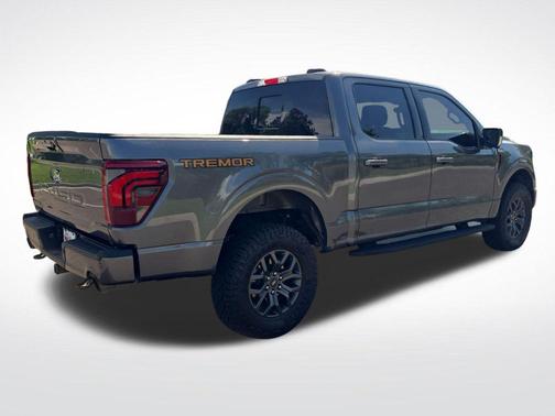 Gray Metallic 2024 Ford F-150 Tremor