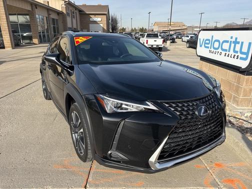 2021 Lexus UX 250h Base