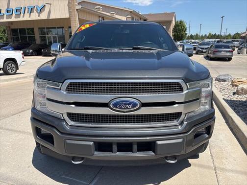2019 Ford F-150 Platinum