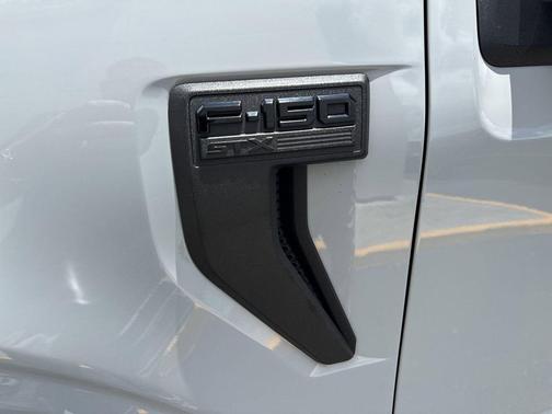 AVALANCHE 2024 Ford F-150 STX