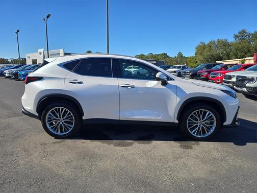 2025 Lexus NX 350 Premium