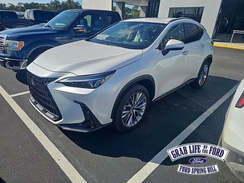 2025 Lexus NX 350 Premium