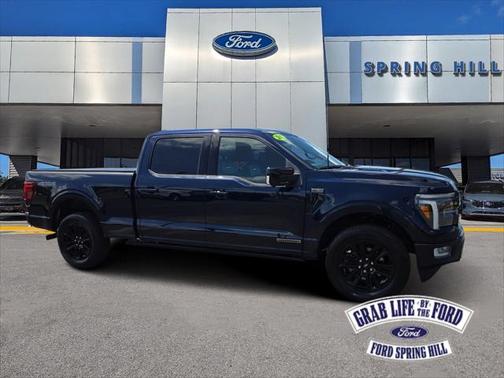 2024 Ford F-150 Platinum
