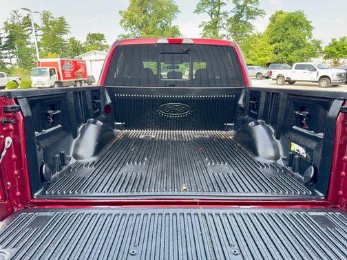Ruby Red Metallic 2019 Ford F-150 XLT
