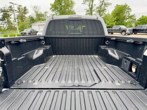 Cement 2020 Toyota Tacoma TRD Off Road