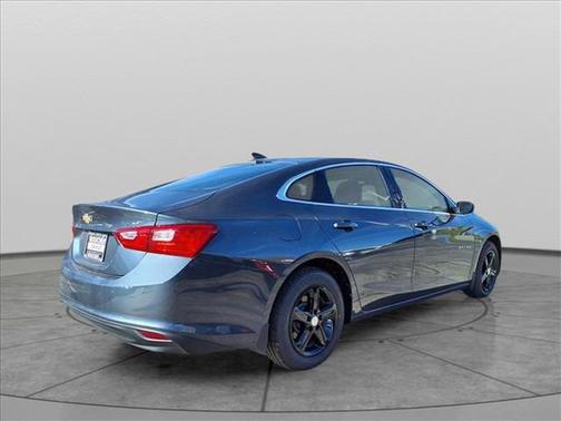 2019 Chevrolet Malibu 1LS