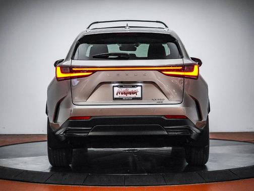 Gray 2025 Lexus NX 350 Premium