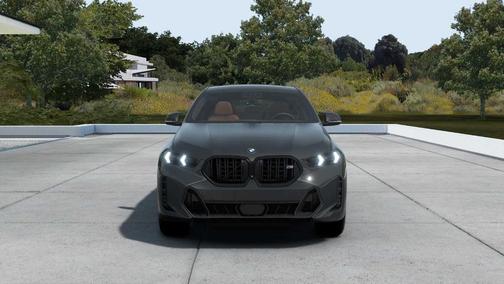 2026 BMW X6 M60i