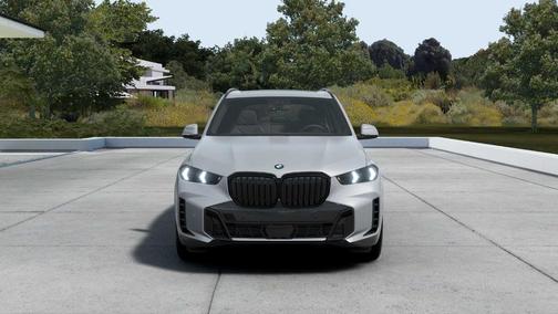 Gray Metallic 2026 BMW X5 xDrive40i