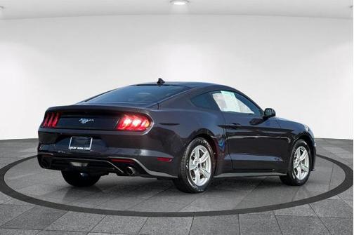 DARK MATTER GRAY METALLIC 2022 Ford Mustang ECOBOOST