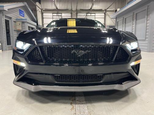 Shadow Black 2019 Ford Mustang GT Premium