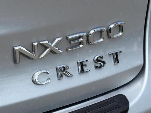 2019 Lexus NX 300 F Sport