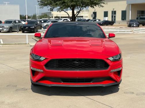 2019 Ford Mustang EcoBoost