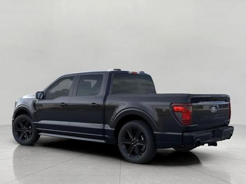 Agate Black Metallic 2025 Ford F-150 STX