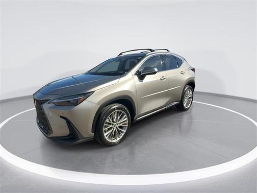 2024 Lexus NX 350h Luxury