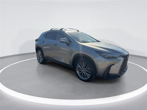 2024 Lexus NX 350h Luxury