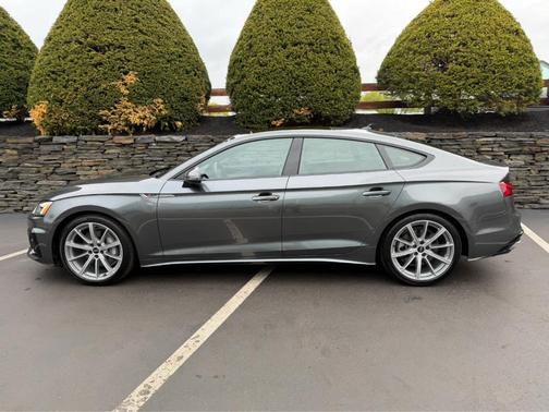 Daytona Gray Pearl Effect 2025 Audi A5 Sportback 45 S line quattro Premium