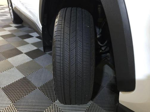 Ice Cap 2023 Toyota RAV4 LE