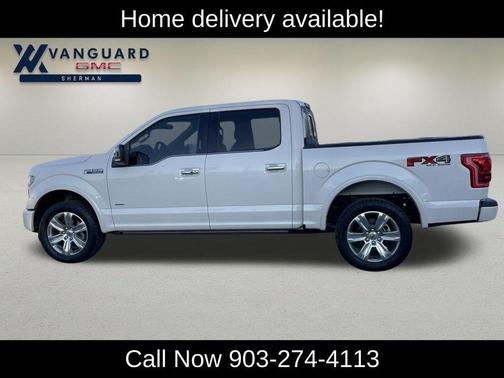 2015 Ford F-150 Platinum