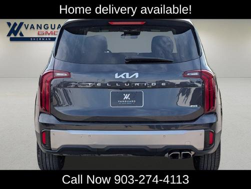 Panthera Metal 2025 Kia Telluride S