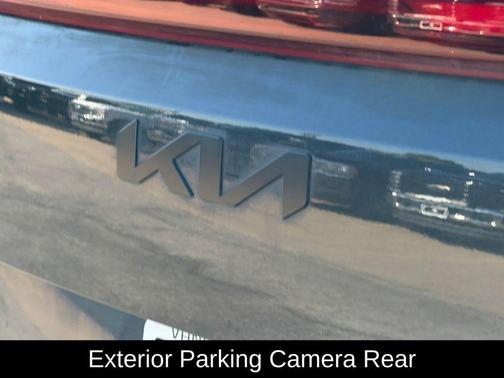 Panthera Metal 2025 Kia Carnival SX Prestige