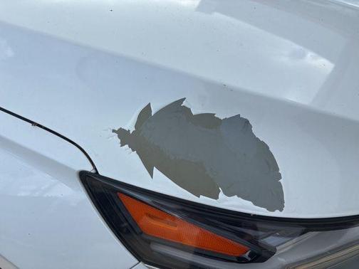 Quartz White 2020 Hyundai SANTA FE SE 2.4