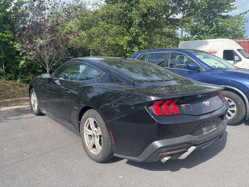 Shadow Black 2024 Ford Mustang EcoBoost