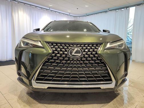 Green Pearl 2021 Lexus UX 200 Base