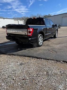 2021 Ford F-150 Platinum