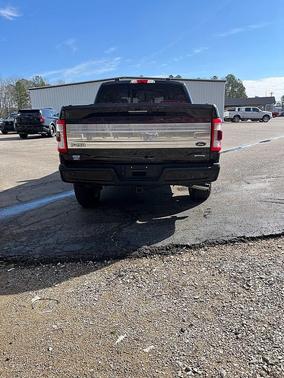 2021 Ford F-150 Platinum