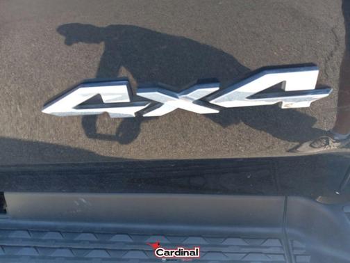 2019 RAM 1500 Longhorn