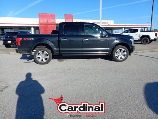 2019 Ford F-150 Platinum