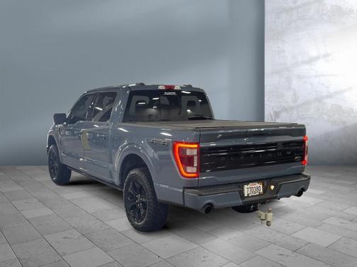 Azure Gray Metallic Tri-Coat 2023 Ford F-150 Platinum