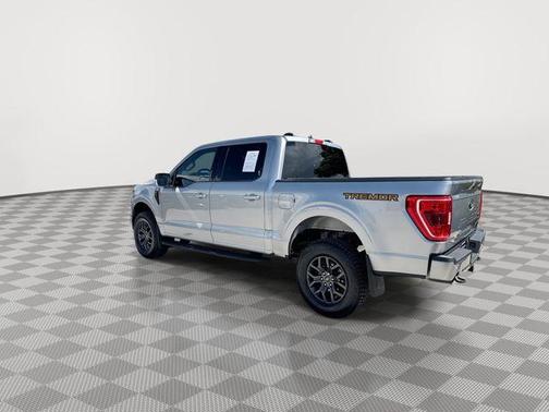 Iconic Silver Metallic 2023 Ford F-150 Tremor
