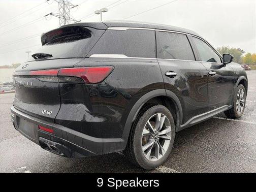 Mineral Black 2024 INFINITI QX60 Luxe
