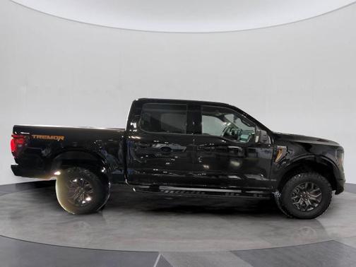 AGATE BLACK METALLIC 2025 Ford F-150 TREMOR